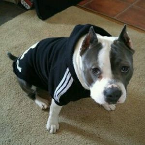 Meet your Posher, Joyce